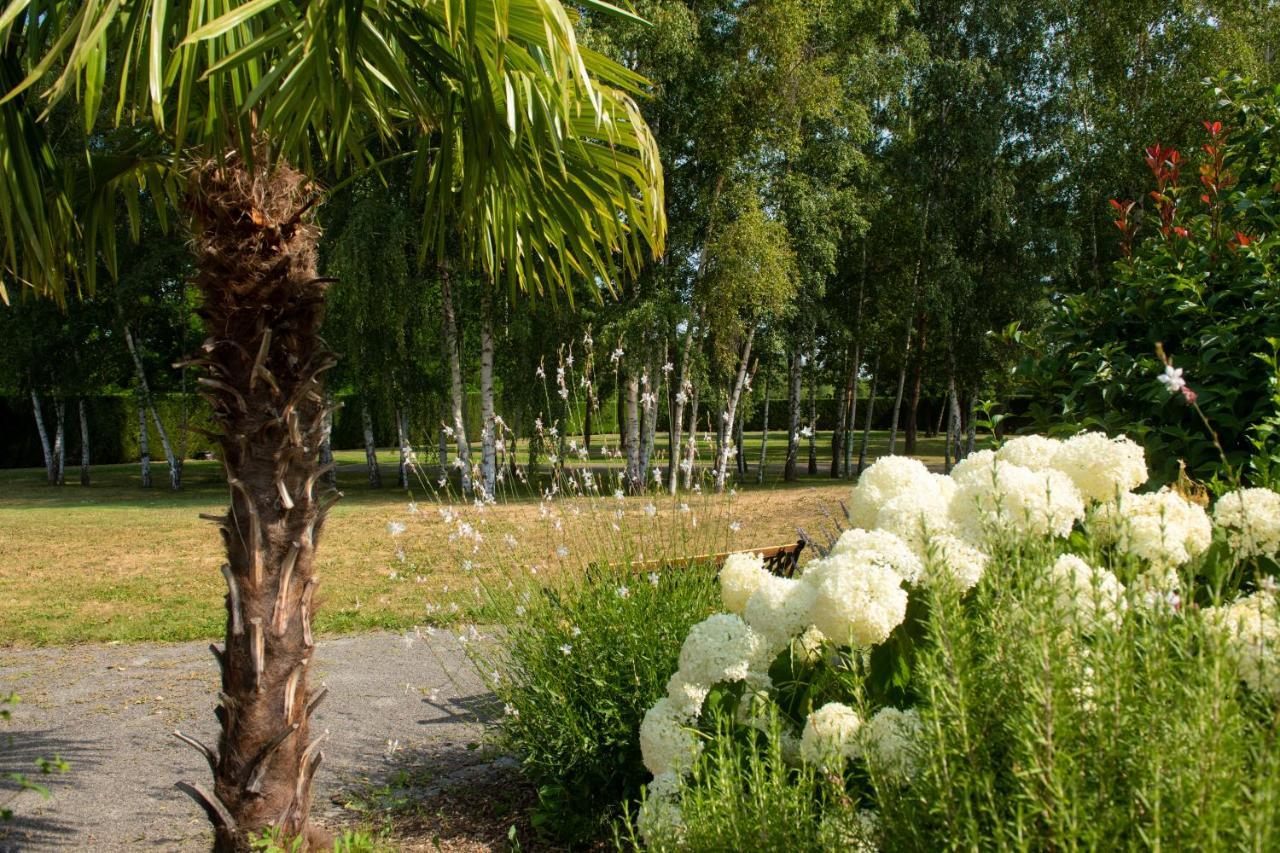 Au Fil Du Vizezy - Chambre D'Hotes Savigneux  Zewnętrze zdjęcie